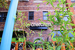 WATERCRESS HALLOWEEN